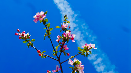 Similar image 21840864