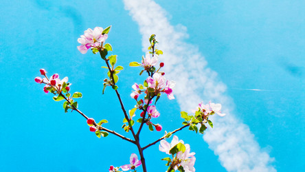 Similar image 21840865