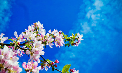 Similar image 21840866