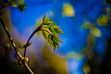 Similar image 21840868