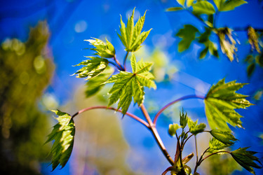 Similar image 21840869