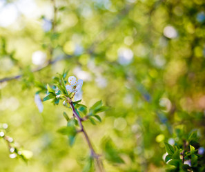 Similar image 21840871