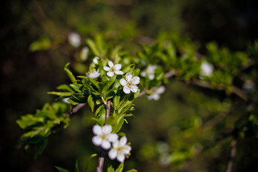 Similar image 21840872