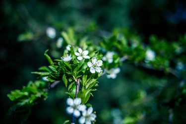 Similar image 21840873