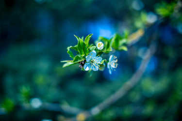 Similar image 21840874