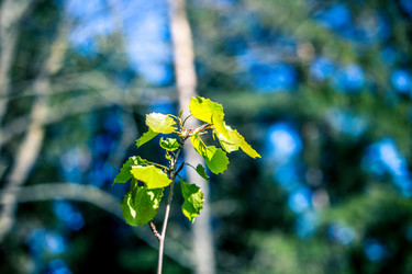 Similar image 21840875