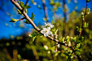 Similar image 21840876