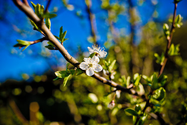 Similar image 21840877