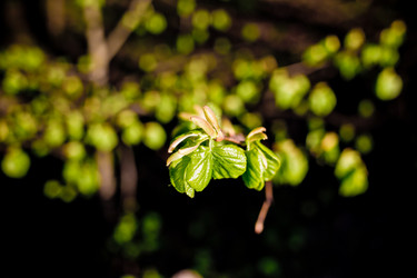 Similar image 21840878