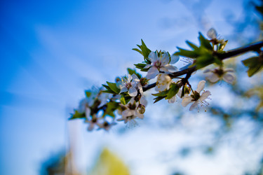 Similar image 21840879