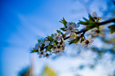 Similar image 21840880