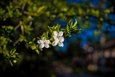 Similar image 21840881