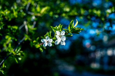 Similar image 21840882