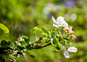 Similar image 21840885