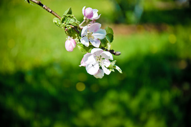 Similar image 21840886