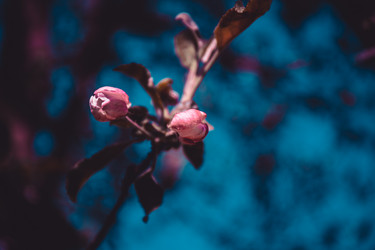 Similar image 21840887