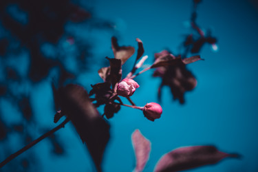 Similar image 21840888