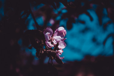 Similar image 21840889