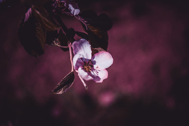 Similar image 21840890