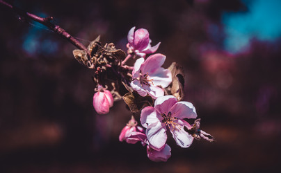 Similar image 21840891