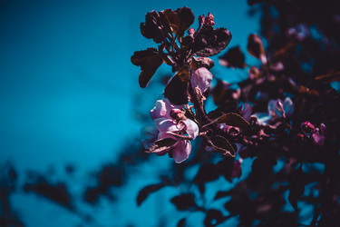 Similar image 21840892