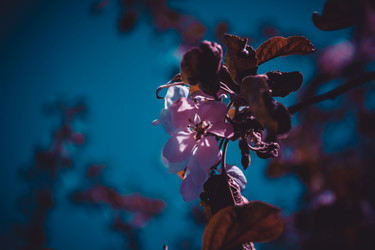 Similar image 21840893