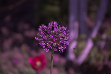 Similar image 21840894