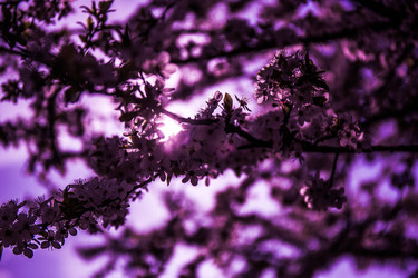 Similar image 21840896