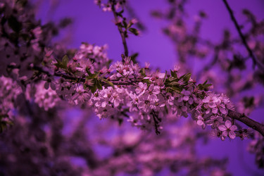 Similar image 21840897