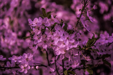 Similar image 21840899