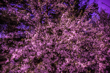 Similar image 21840901