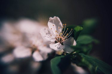 Similar image 21840903