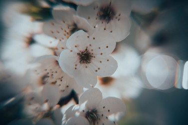 Similar image 21840905