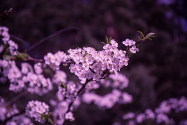 Similar image 21840908