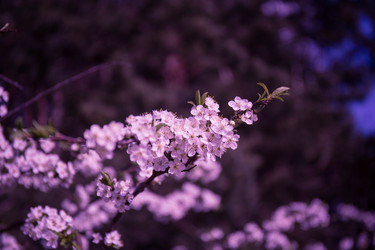 Similar image 21840909