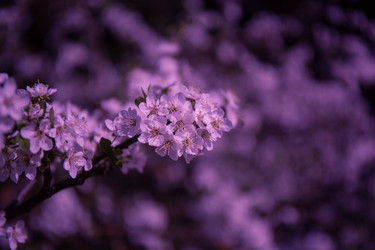 Similar image 21840911