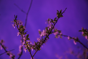 Similar image 21840914