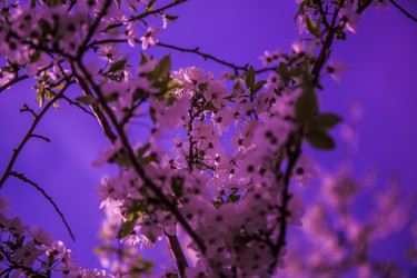 Similar image 21840915