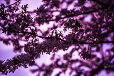 Similar image 21840916