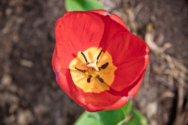 Similar image 21840917