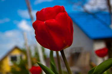 Similar image 21840918