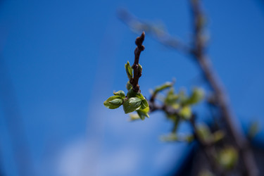 Similar image 21840920