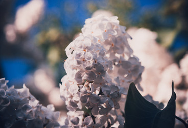 Similar image 21840922