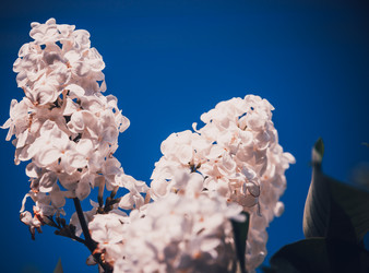 Similar image 21840923