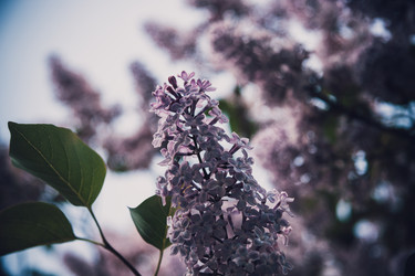 Similar image 21840925