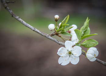 Similar image 21840927