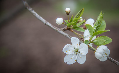 Similar image 21840928