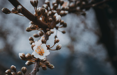 Similar image 21840932