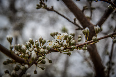 Similar image 21840933