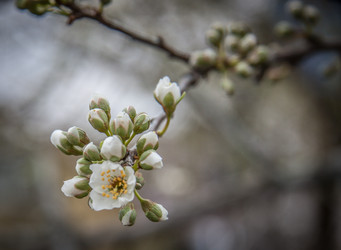 Similar image 21840934